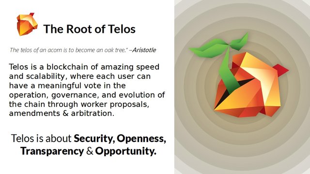 TELOS_PPT_11.jpg