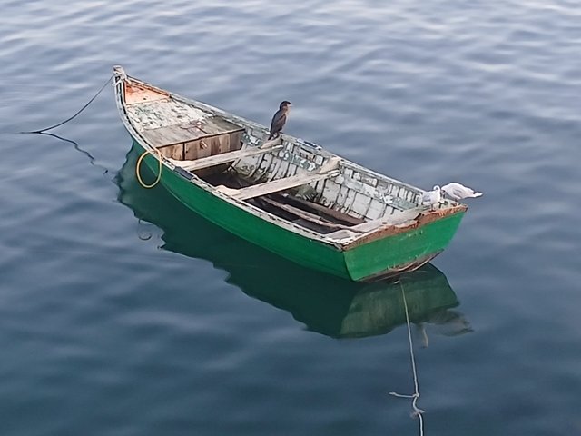 1000040904.jpg