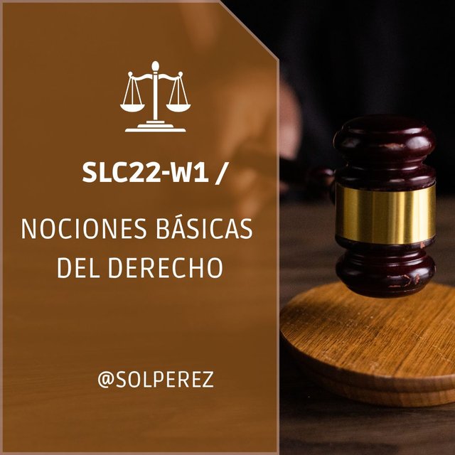 Post para Instagram webinar derecho elegante marrón .jpg