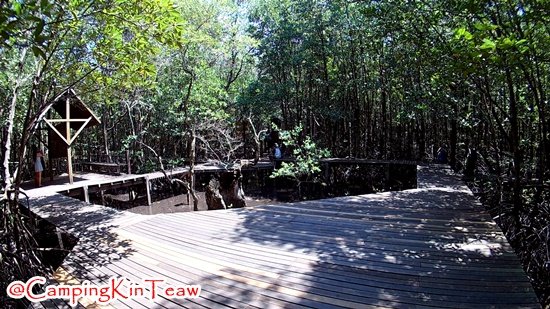 ST-อ่าวคุ้งกระเบน-008.jpg