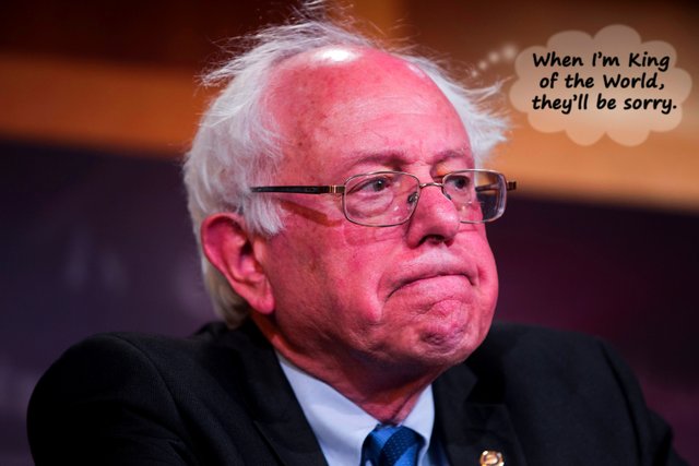 bernie.jpg