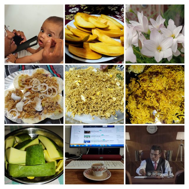 1748180454655-COLLAGE.jpg