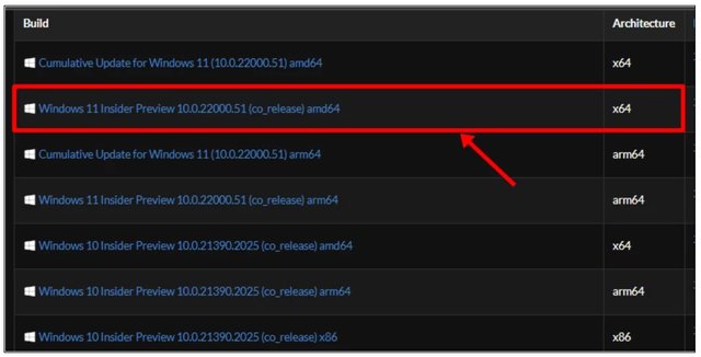 Scroll down to look for the latest Windows 11 Insider Preview build, click on the build name to proceed.