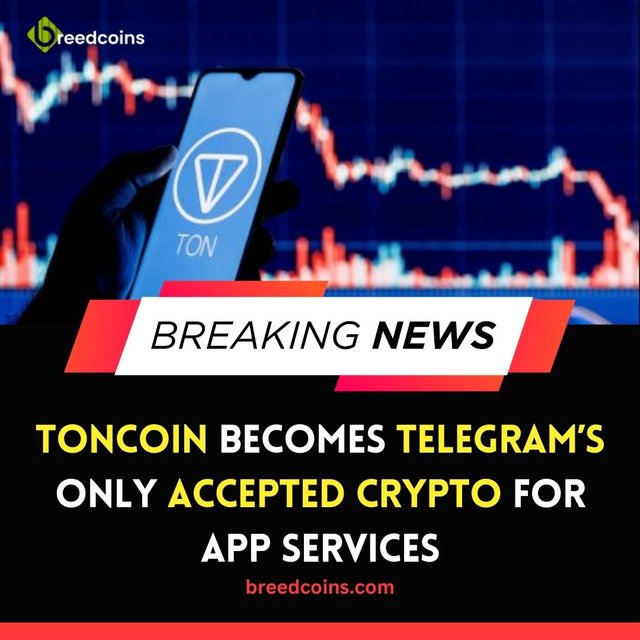 Toncoin.jpg