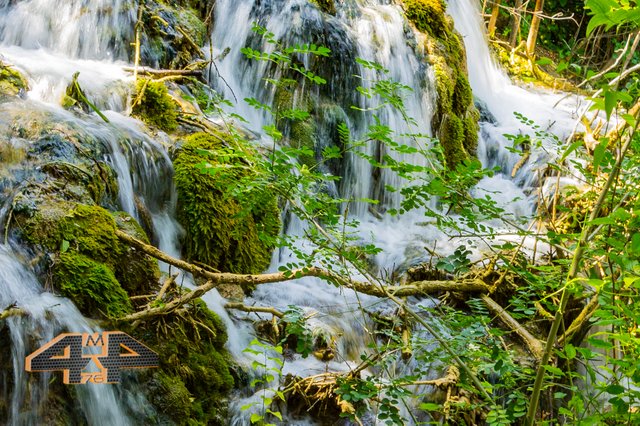 _DSC0230.jpg