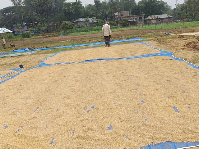 1000005318.jpg