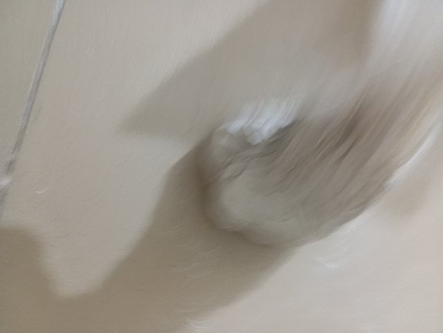 1000562686.jpg