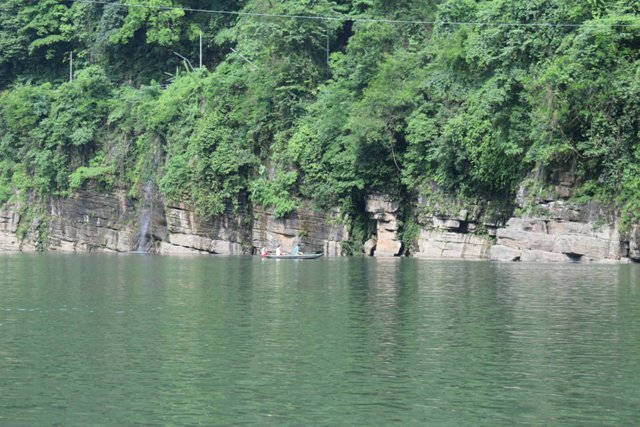 nature2.jpg