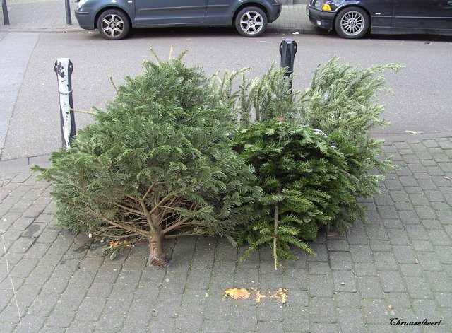 Weihnachtsbaum_04.jpg