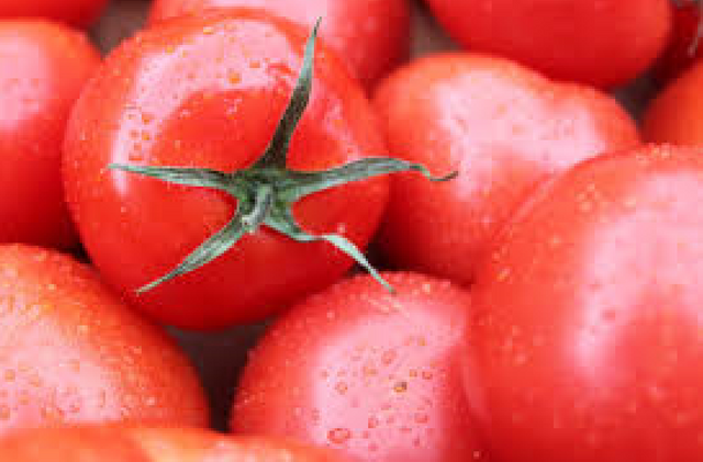 tomatoes.png