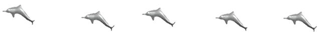 dolphin-divider-schamangerbert.png