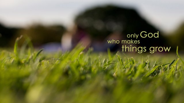 God-make-things-grow-wallpaper_1366x768.jpg