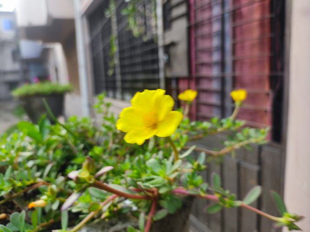 IMG_20250418_162354.jpg