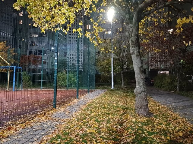 20251019_190319.jpg