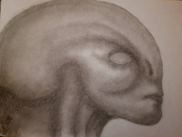 20250522_111138.jpg
