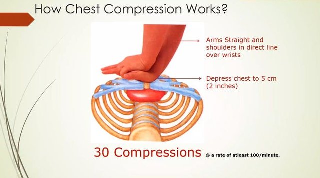 How To Perform CPR (Cardiopulmonary Resuscitation)