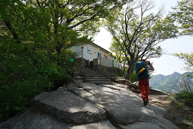 DSC08146.JPG
