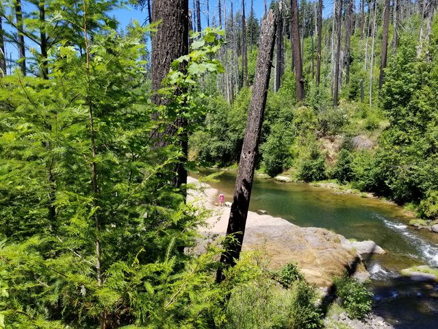 the swimming hole.jpg