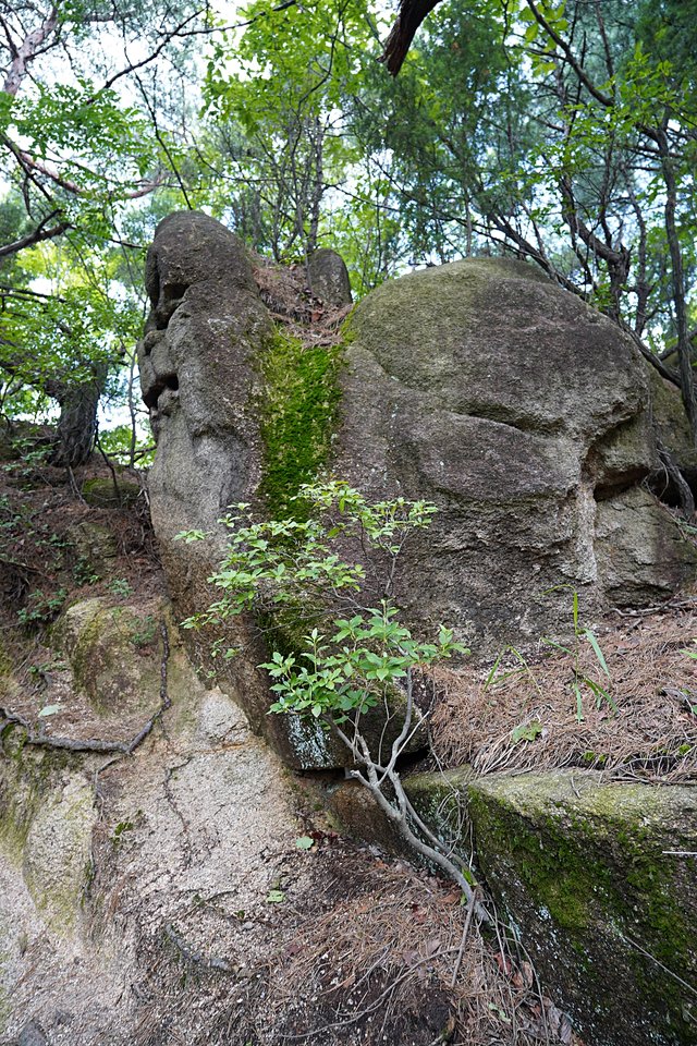 b-250723-083556.jpg