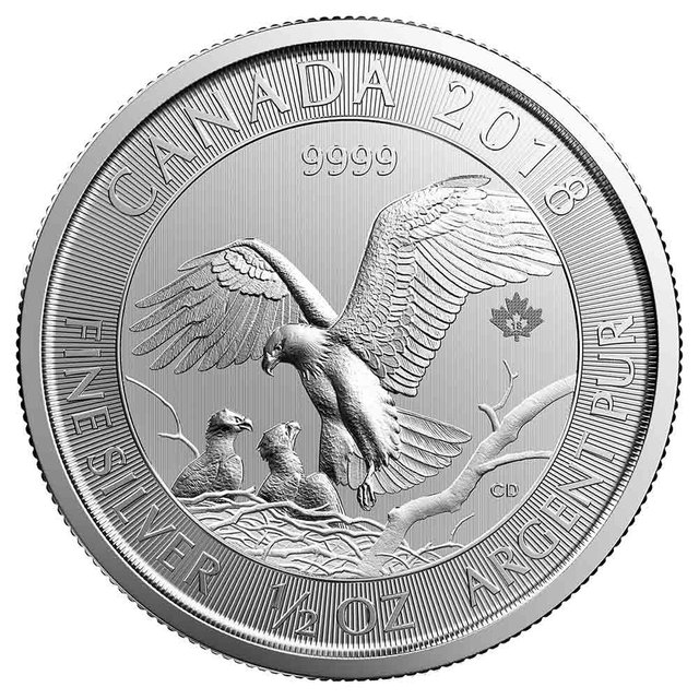 2018-rcm-0-5-silver-eagle-coin.jpg