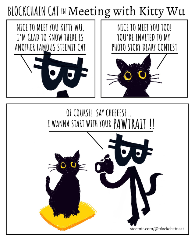 Blockchain Cat - Meeting with Kitty Wu.png
