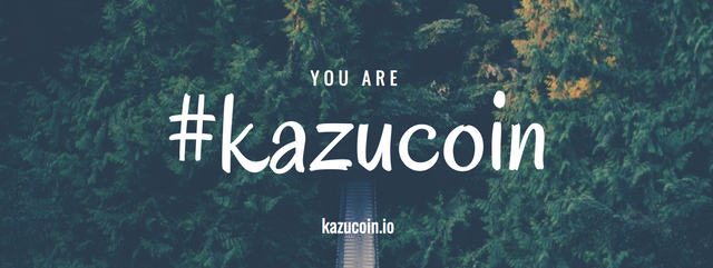 Youarekazucoin.png