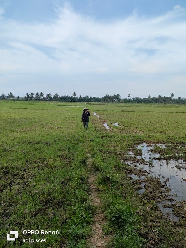 IMG20250613155615.jpg