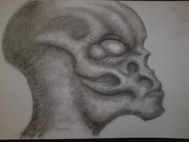 20250622_093126.jpg