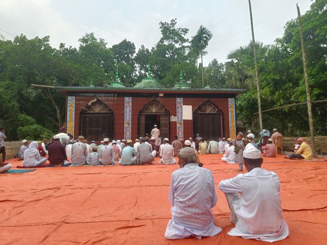 IMG20250607073251.jpg