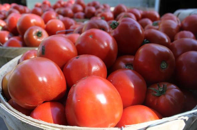 tomatoes-in-bushel-basket.jpg