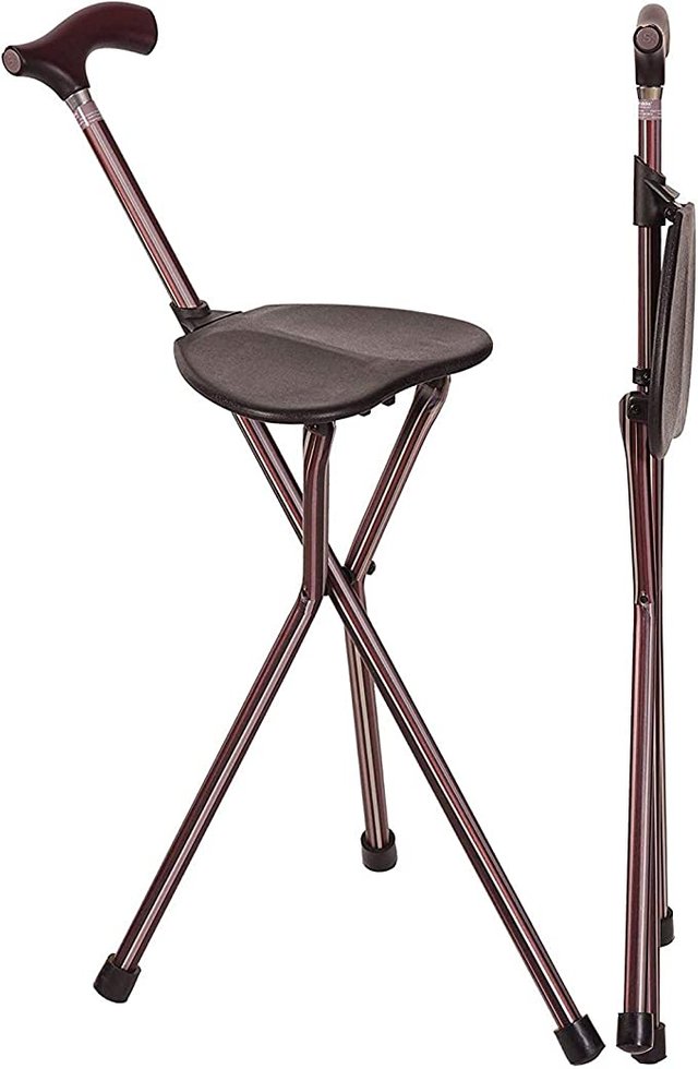 walking stick com chair.jpg