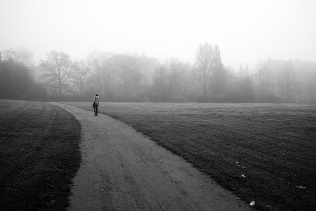 sunlight-landscape-white-black-monochrome-portrait-garden-horror-sky-winter-road-photography-house-mud-cold-evening-morning-Germany-mist-frost-alone-texture-wind-horizon-atmosphere-wet-Europe-path-walking-asphalt-.jpg