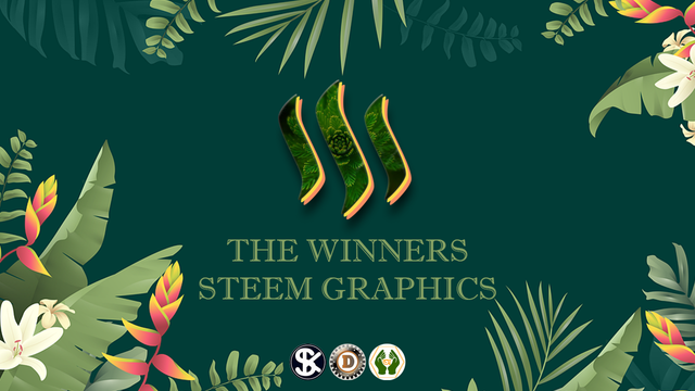 THE WINNERS STEEM GRAPHICS.png