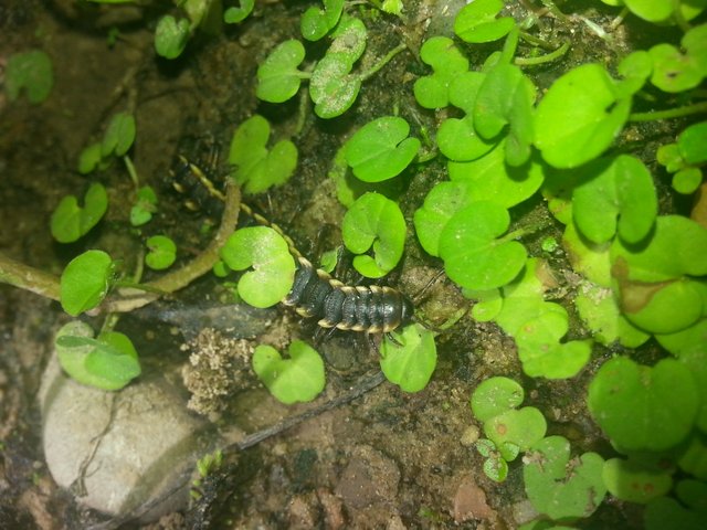 20180602_115243.jpg