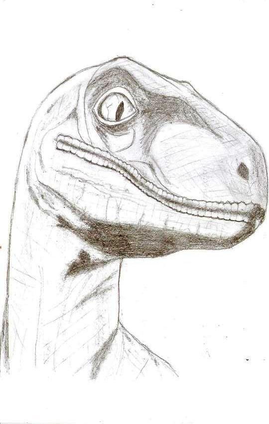 APRENDE A DIBUJAR : Dinosaurio - Velociraptor — Steemit