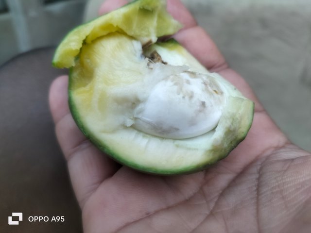 IMG20250411175543.jpg