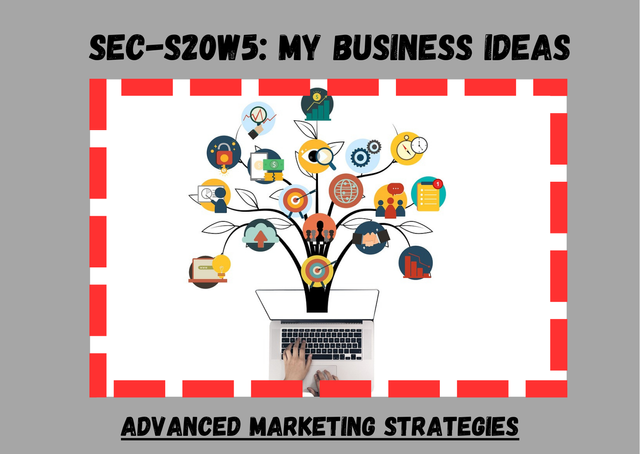 SEC-S20W5  My Business Ideas  Advanced Marketing Strategies.png