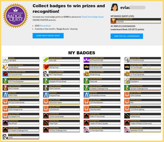 sfibadges2.jpg