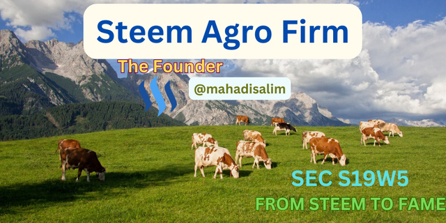 STEEM Agro Firm.png