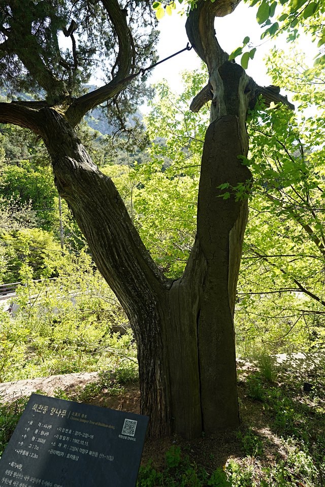 DSC08804.JPG