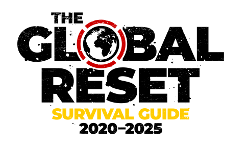 52357225-0-The-Global-Reset-Sur.png