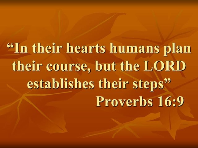 God's providence. In their hearts humans plan their course, but the LORD establishes their steps. Proverbs 16,9.jpg