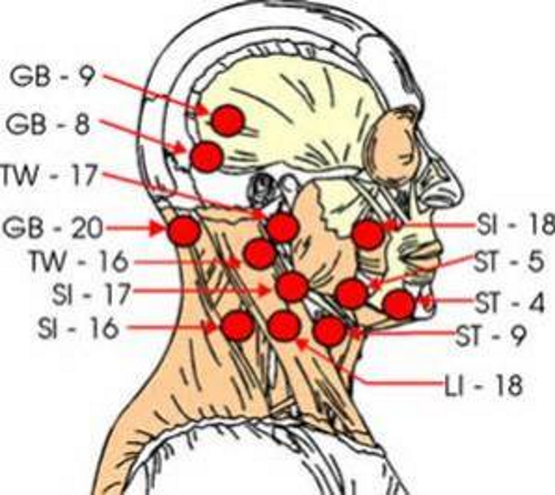 Face Pressure Points.png