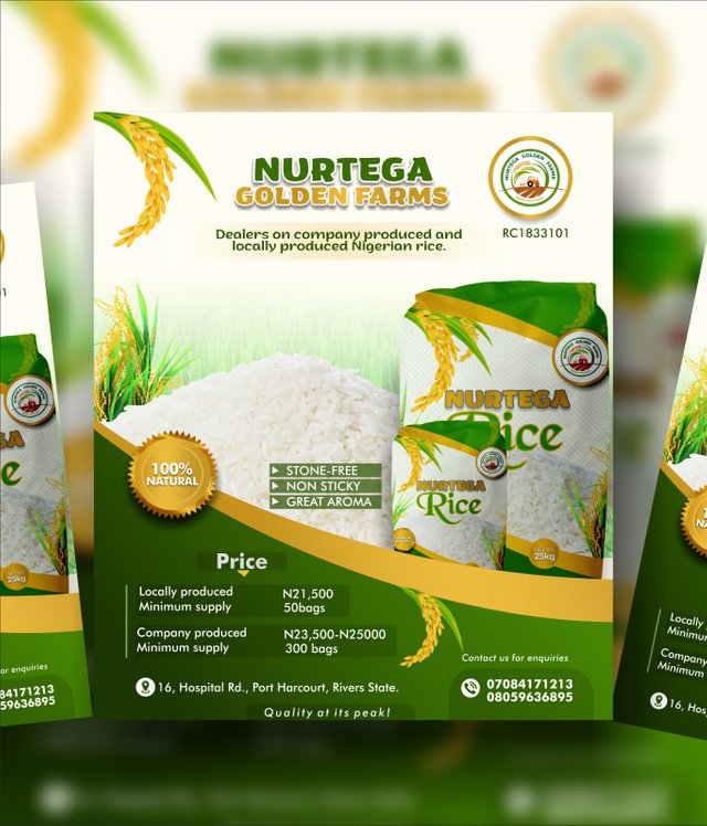 Nurtega Rice Flyer 2.jpg