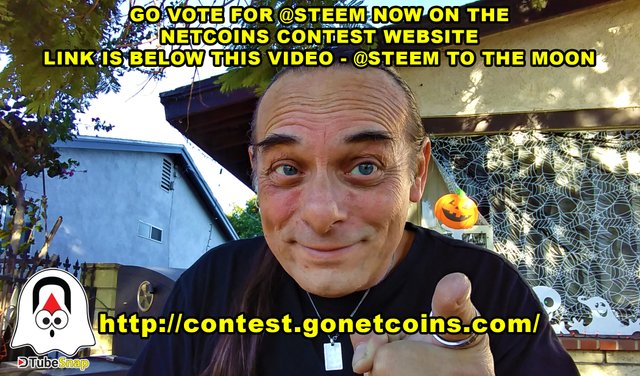 GO VOTE FOR @STEEM NOW ON THE NETCOINS CONTEST WEBSITE - LINK IS BEKOW THIS VIDEO - @STEEM TO THE MOON.jpg