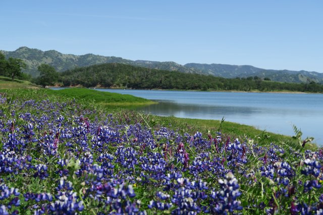 Lake Berryessa.JPG