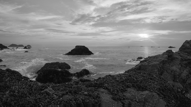 IMG_20170529_125353b-bw-found-inspirations-surf-in-the-sea-of-life-#371.png