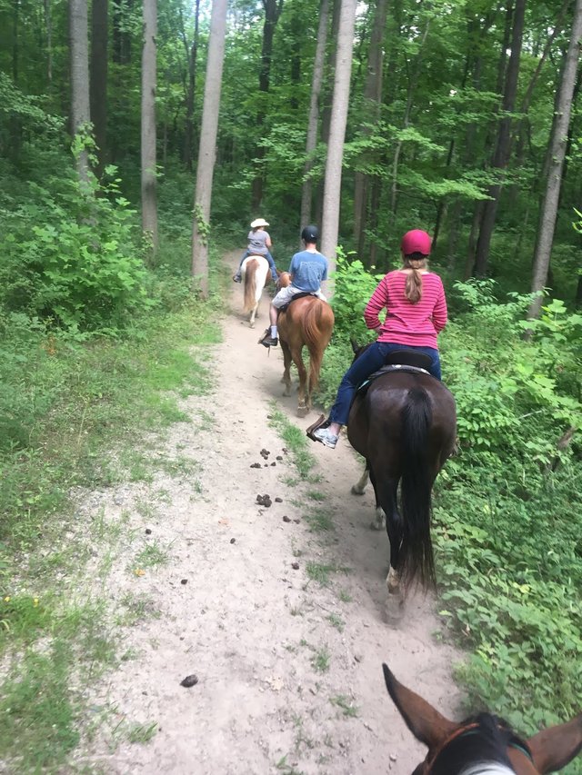 trail ride 2.JPG