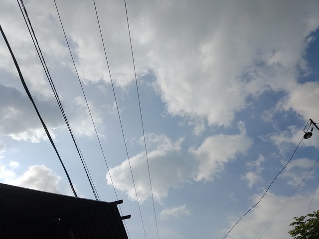 1000172219.jpg