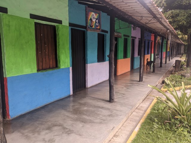 PXL_20250510_092613554.jpg